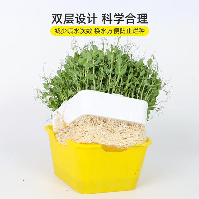 Planting garlic seedlings artifact soilless cultivation vegetable equipment seedling tray sprouts planting tray hydroponic onion seedlings onion planting garlic seeds