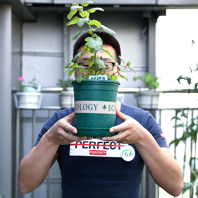 The second generation of short and fat style balcony planting flower and vegetable pots