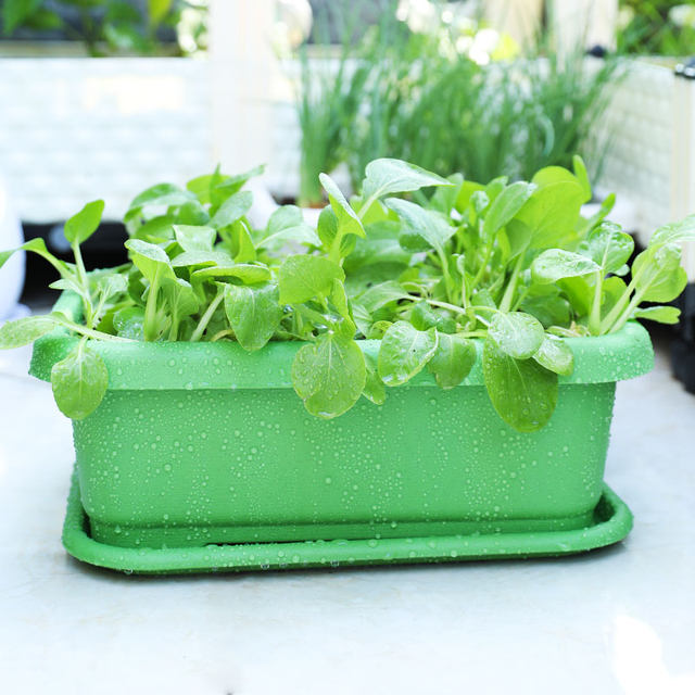 Long-shaped flower planting pot with tray for injection molding