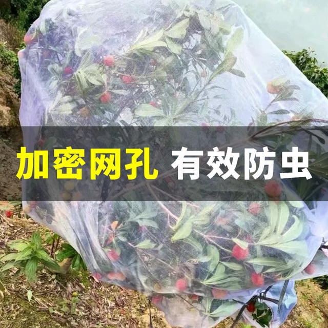 Special insect-proof net for growing vegetables is encrypted and thickened