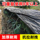 Shade net for growing vegetables Special shade net for vegetable fields