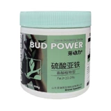 Серо серная серная цветочный жир цветочный цветок для жира сада цветет жир рододендрон Osmanthus antiellow Leav