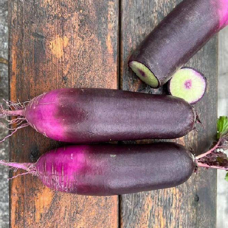 冰激凌水果萝卜种子种籽紫皮冰淇淋水果罗卜籽种菜种红蔬菜孑子,淘宝优惠券,粉丝福利购,淘宝优惠卷