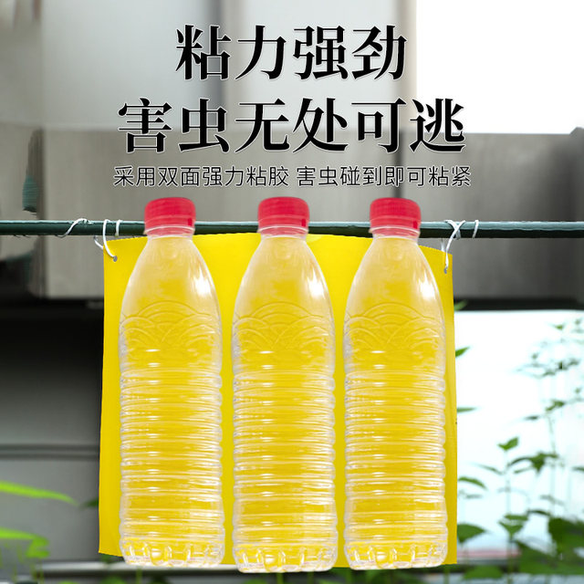 Household yellow sticky insect board double-sided strong