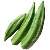 Саженцы овощей в четырех сезонах горшечной фруктовой бамии