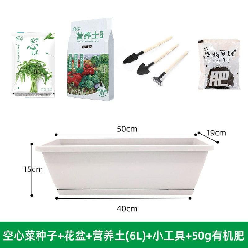 香菜种子籽种种植套装四季阳台盆栽蔬菜生菜小葱豌豆尖韭菜疏菜葱,淘宝优惠券,粉丝福利购,淘宝优惠卷