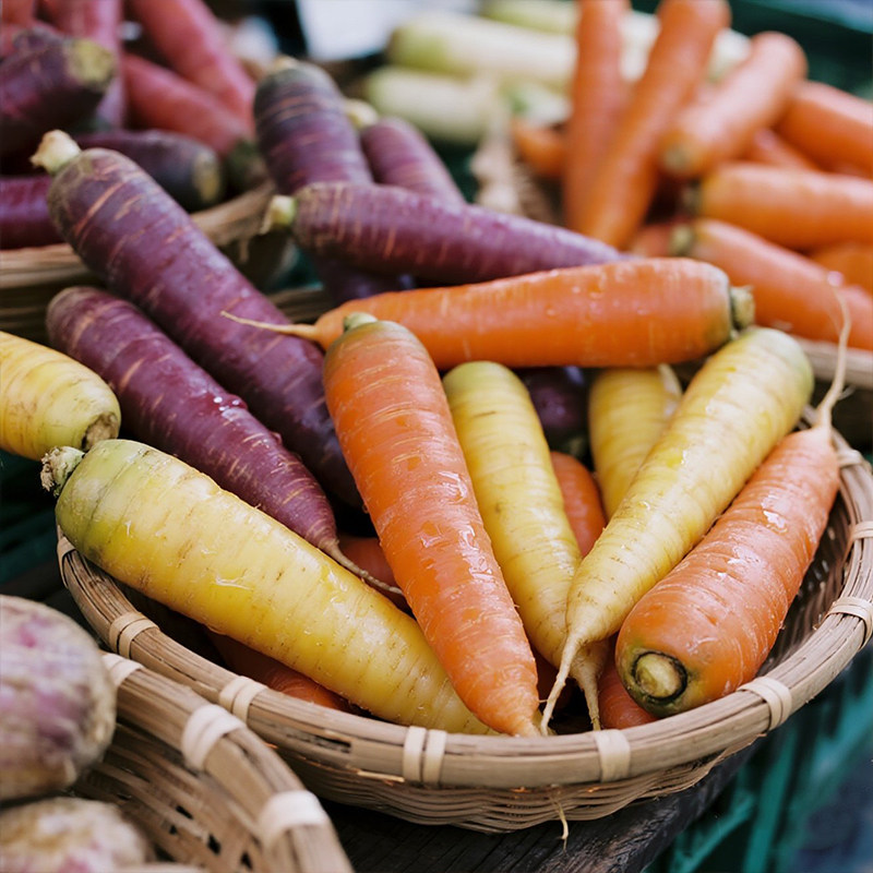 五彩胡萝卜种子种籽彩色水果萝卜四季籽种蔬菜孑菜籽彩虹胡罗卜,淘宝优惠券,粉丝福利购,淘宝优惠卷