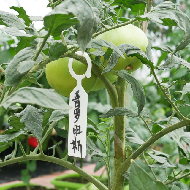 Gardening thickened waterproof plastic flower name tag