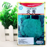 Японские холодные устойчивые к превосходным семенам семян семян брокколи янсиу, семенах брокколи, четыре сезона семян семян овощей, семена овощей, западные голубые цветы