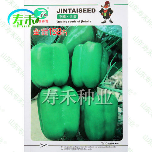 金甜158甜椒青椒种子早熟高产方椒灯笼椒菜椒蔬菜孑籽种辣椒种籽 - 图0