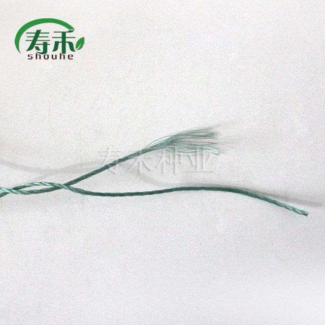 Special tomato hanging rope for greenhouse tomatoes