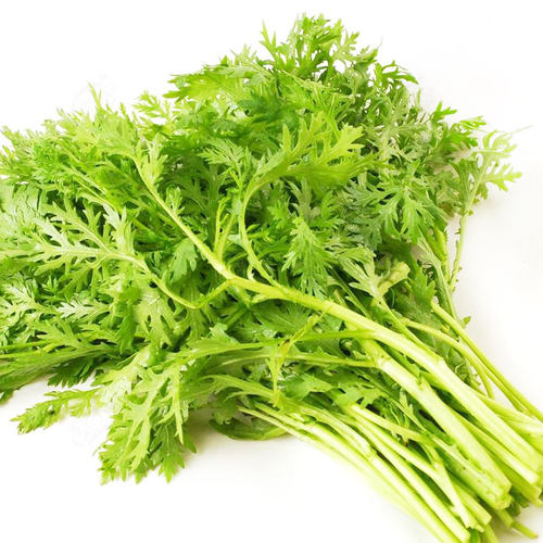 小叶茼蒿种子种籽菜种皇帝菜秋冬季籽种青菜蔬菜孑菜籽茼蒿菜种 - 图3