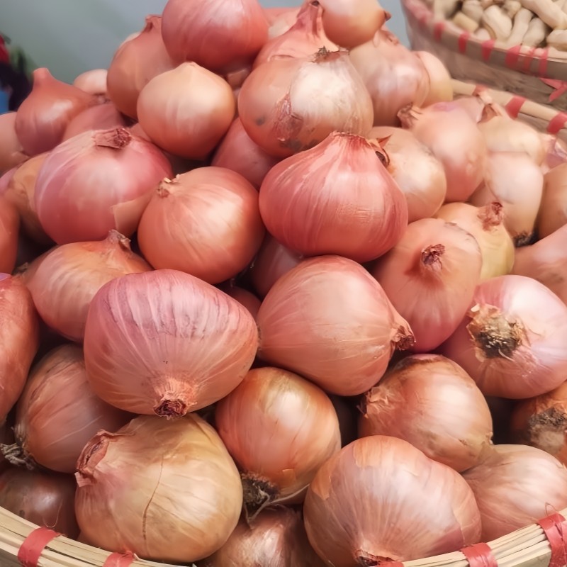 毛葱东北特产鬼子葱新鲜圆葱大红葱头农家笨洋葱小圆葱生吃干毛葱,淘宝优惠券,粉丝福利购,淘宝优惠卷