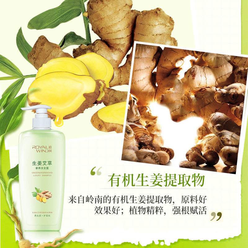 追风生姜艾草预防脱发改善洗发露 追风洗发水
