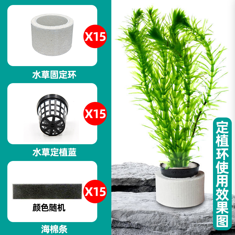 水草固定环鱼缸水草定植三件套陶瓷沉环定植篮定植全新定植棉沉环 - 图3