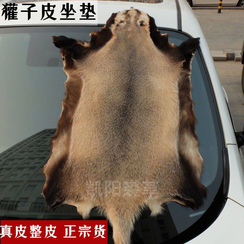 獾子皮坐垫 獾皮原皮 整张真皮座垫 沙发座椅 四季通用痔疮车垫