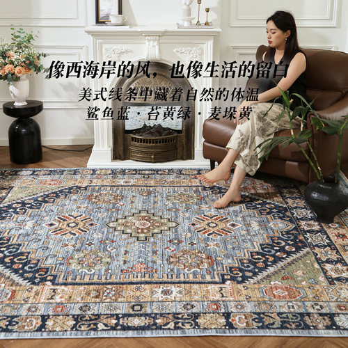 易普美家土耳其进口美式复古轻奢高级地毯蓝色卧室床边客厅沙发毯 - 图1