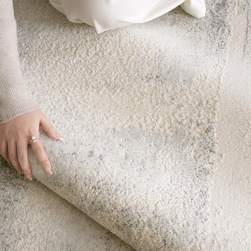 免费清洗2025新款客厅高级防水可擦洗地毯轻奢法式意式防猫爪地垫,淘宝优惠券,粉丝福利购,淘宝优惠卷