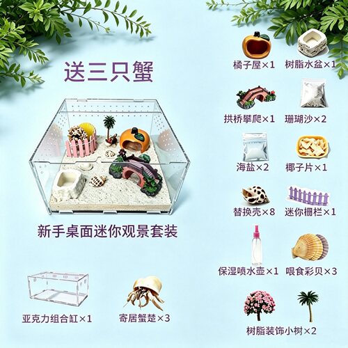 寄居蟹宠物套装 新手活体全套餐 桌面可爱迷你观赏爬宠 包邮+包活 - 图0