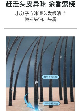 自然物语香氛男士清爽干净沐浴露不痒不油持久留香洗发露福利套装