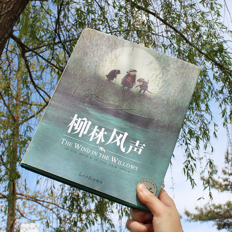 风声精彩