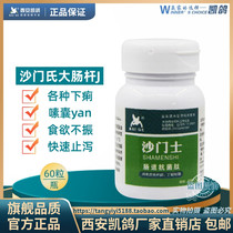 Kepigeon Dove Drug Salmonellas 60 Grain Antidiarrheal Salmonella E. coli Various Lower Diarrhoea Water Green Poo Enteritis Birds