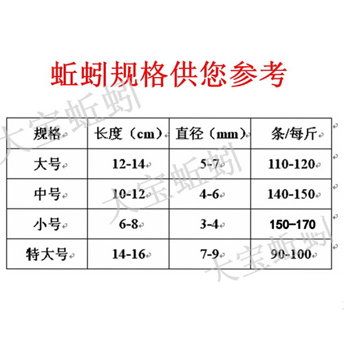鲜活青蚯蚓黑蚯蚓特大钓黄鳝专用活体臭蚯蚓地龙野钓活饵钓鱼鲜活 - 图3