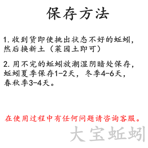 大蚯蚓 黑蚯蚓 青蚯蚓 臭蚯蚓 黄鳝龙虾鱼饵 顺丰包邮 下笼子长网 - 图2