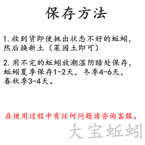 鲜活青蚯蚓黑蚯蚓特大钓黄鳝专用活体臭蚯蚓地龙野钓活饵钓鱼鲜活 - 图2