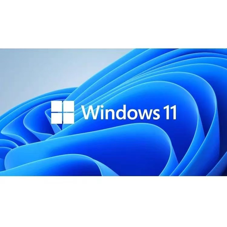 正版Windows11专业版系统u盘彩盒电脑重装win10Pro零售版retail - 图0