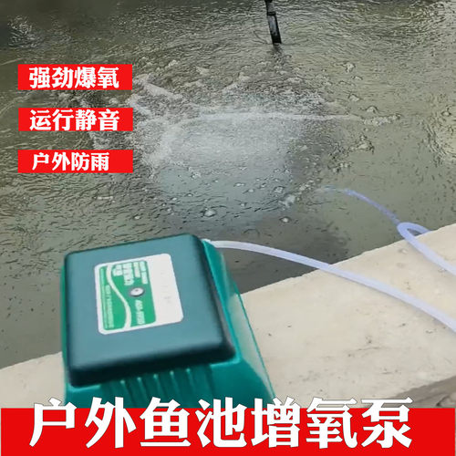 海利静音氧气泵户外锦鲤池增氧泵鱼池养鱼专用气泵家用鱼缸打氧机 - 图2