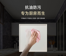 AIA INTEGRATED CEILING ELECTRICAL LIGHTING MODULE KITCHEN MAKEUP ROOM FULL HOUSE CUSTOM WHITE ZD126