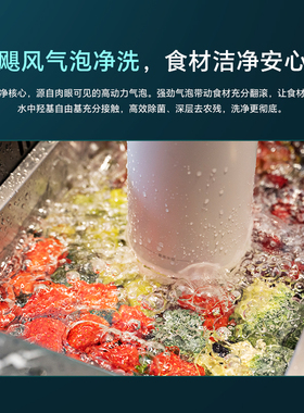 怡口安心净洗舱果蔬清洗机洗菜机