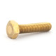 Brass hexagon screws