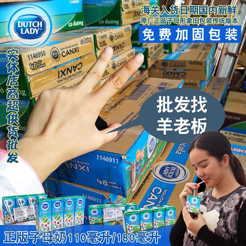 越南进口 荷兰DUTCH LADY子母奶110ml/180ml整箱48盒装团购批特价 - 图0