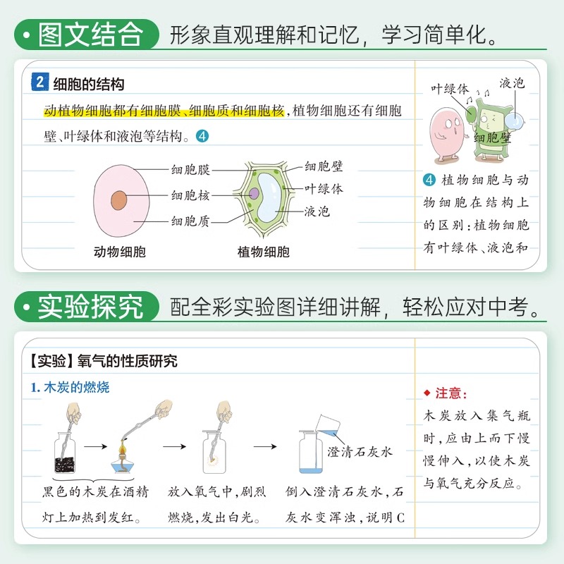 2024版学霸笔记初中科学浙教版浙江专用初中必刷题初一全套中考知识手册复习资料初二初三七八九年级上册下册测试题课堂练习册训练-图2