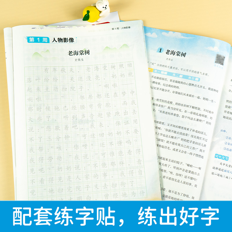 2023新版小學作文晨讀晚練一二三年級四五六年級晨讀本練字帖音頻伴讀筆畫筆順強化練習冊閱讀同步337晨讀法優美句子訓練開心教育_偉業圖書專營店_書籍/雜志/報紙