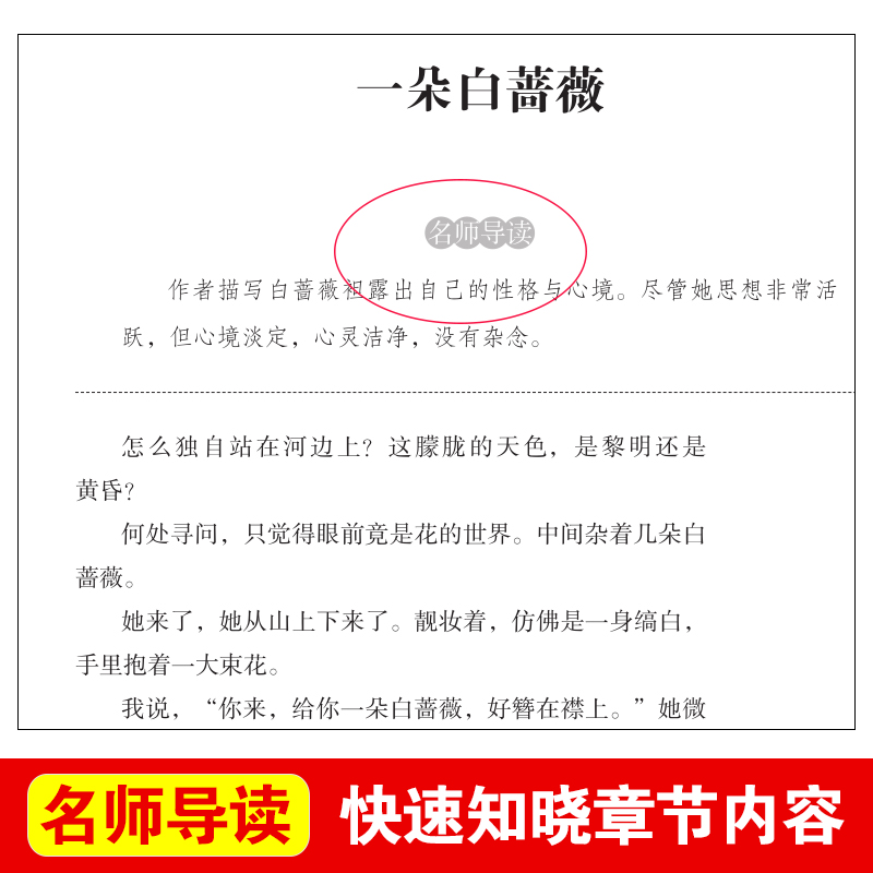 繁星春水正版冰心儿童文学全集青少年版适合三四五六年级下册阅读的课外书籍必三部曲现代诗散文集寄小读者桔灯橘小学生获奖作品-图0