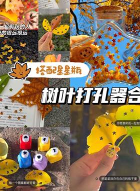 剪秋diy星星瓶树叶按压打