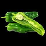 薄皮辣椒苗秧苗大果虎皮青椒苗微辣皱皮泡椒苗四季菜园盆栽南方种,淘宝优惠券,粉丝福利购,淘宝优惠卷