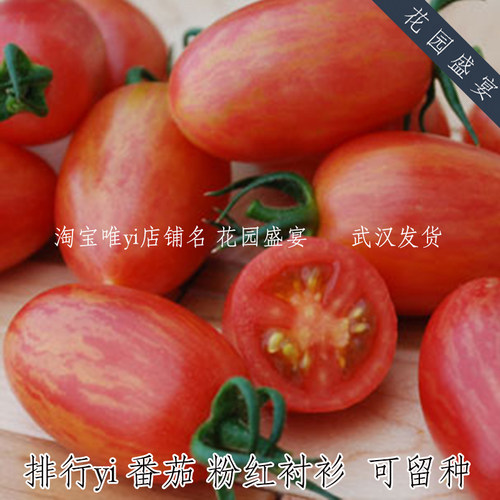 母猪矮生番茄权威评分高粉色衬衫4粒种子可留种盆栽美国BURPEE A6 - 图1