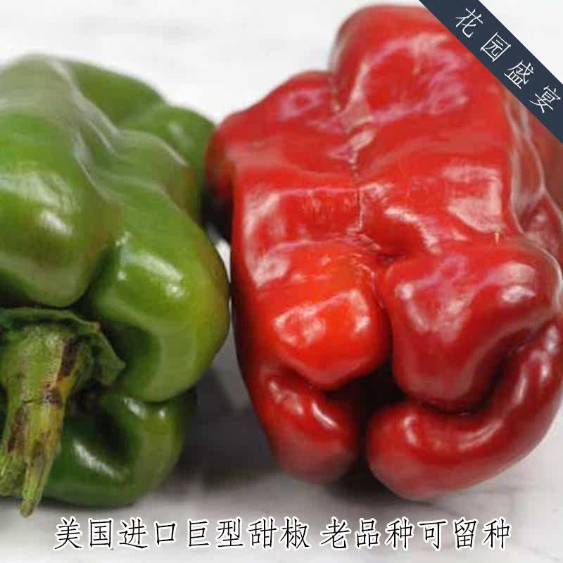 传家宝巨型甜椒 西班牙猛犸象 抗病多产 进口蔬菜种子 可留种,淘宝优惠券,粉丝福利购,淘宝优惠卷
