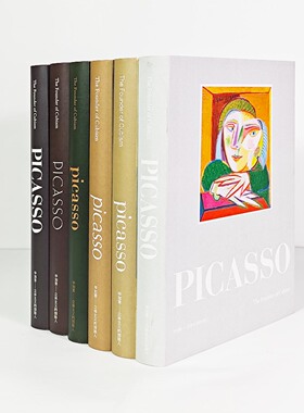 毕加索艺术画册样板间可翻阅真书