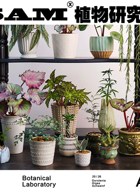 中古花盆陶瓷花盆带孔植物陶瓷花盆绿植盆栽阳台花园家居植选礼物