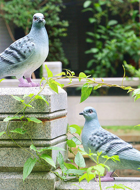 仿真鸽子园艺庭院景观设计摆件