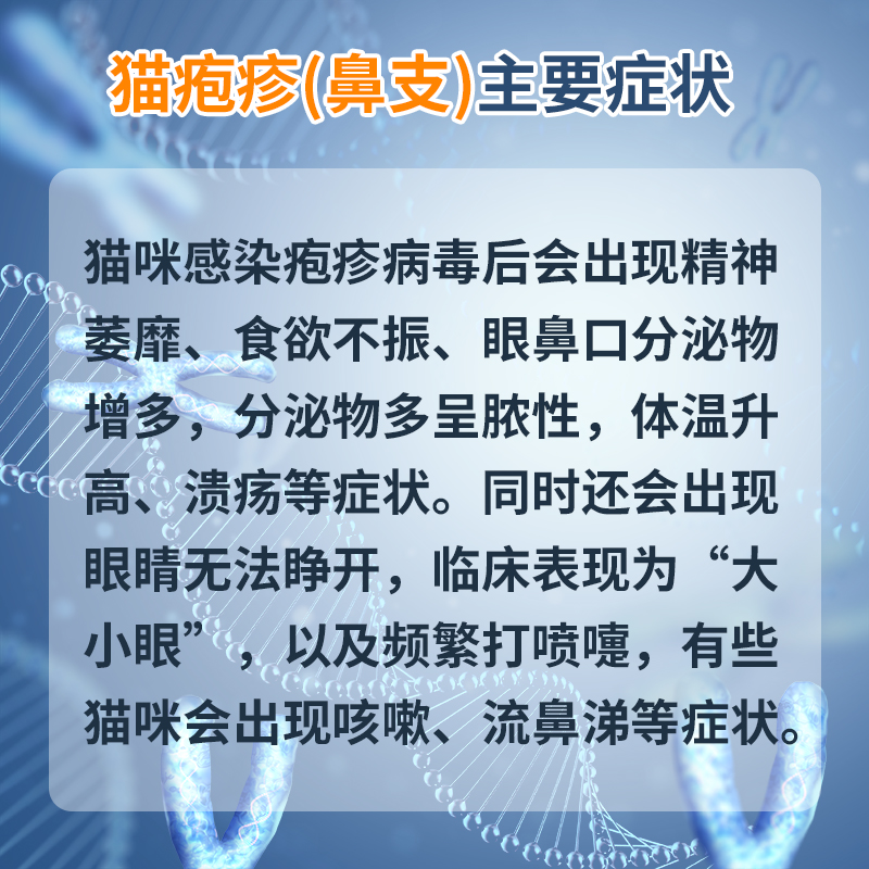 【猫鼻支】FHV猫疱疹瘟病毒治疗宠物检测卡猫咪咳嗽流鼻涕猫支鼻 - 图2