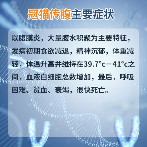 猫传腹测试纸FIPV检测卡宠物猫咪新生传染病毒腹水猫瘟测试纸检查-图1