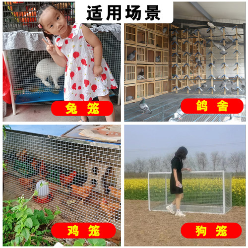 热镀锌铁丝网片长孔小网格家用养殖鸡鸭鹅兔笼鸽舍防黄鼠狼麻雀 - 图1