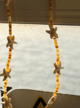 【CnHnOn脂肪商店】跳舞海星天然贝壳串珠复古度假锁骨链项链