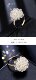 Far Love Light Luxury Super Immortal Crystal Flower Ring Women's Trendy High Quality Temperament Adjustable Exquisite Index Finger Ring J221